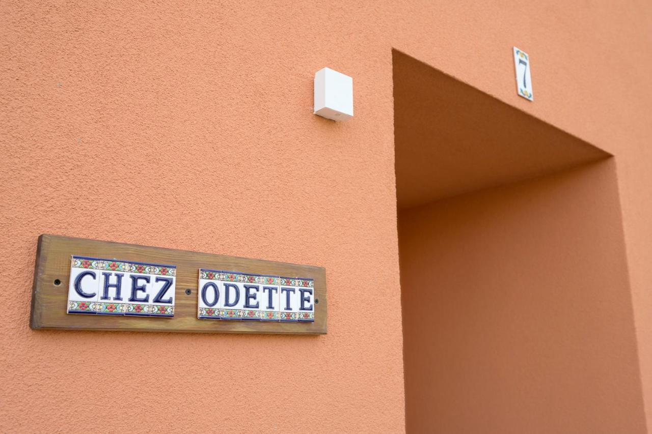 Chez Odette - Spa, Plancha, Parking Αλμπί Εξωτερικό φωτογραφία